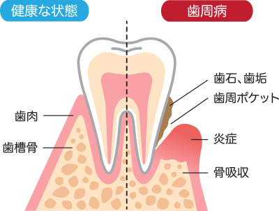 AdobeStock_233356094