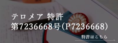 thumu-t-patent7236668